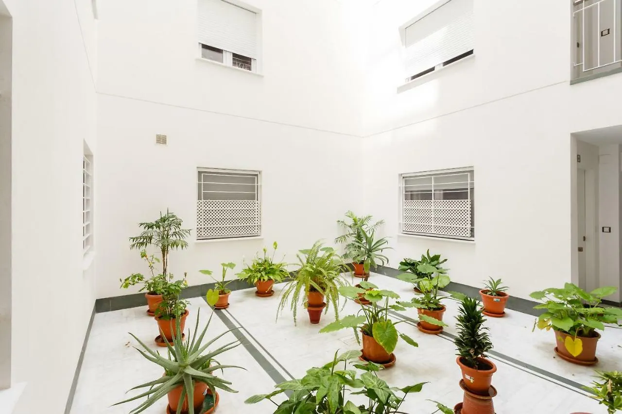 La Sorpresa Del Genoves By Cadiz4Rentals Apartment